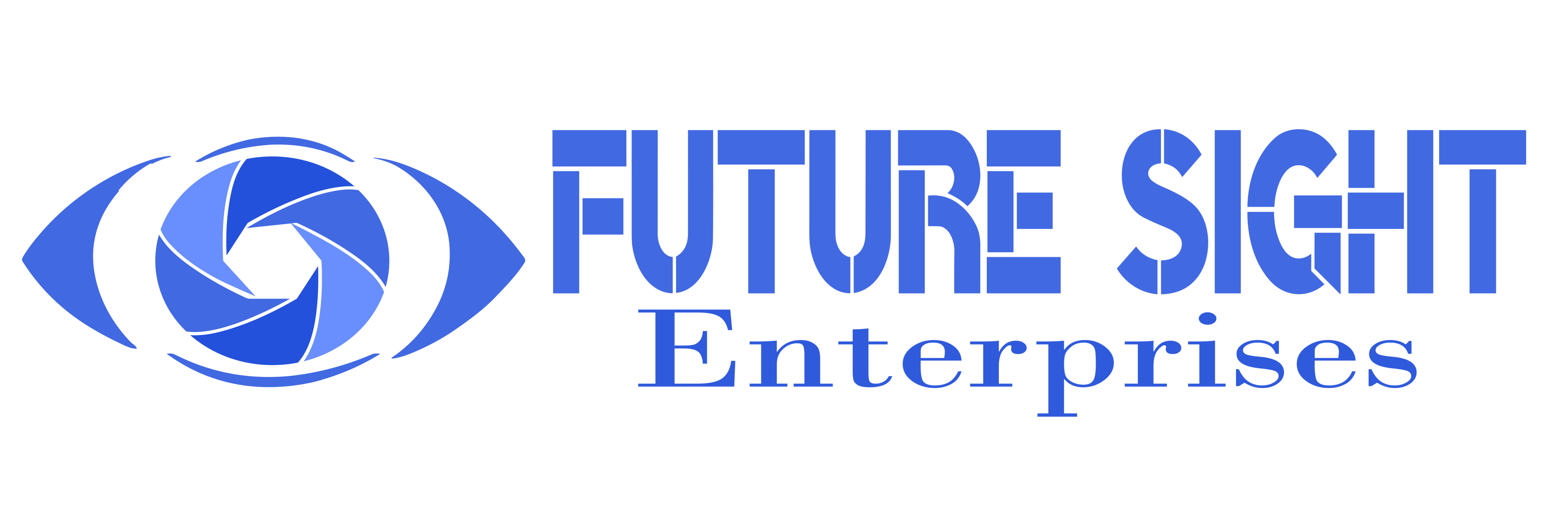 Future Sight Enterprises Flat Logo