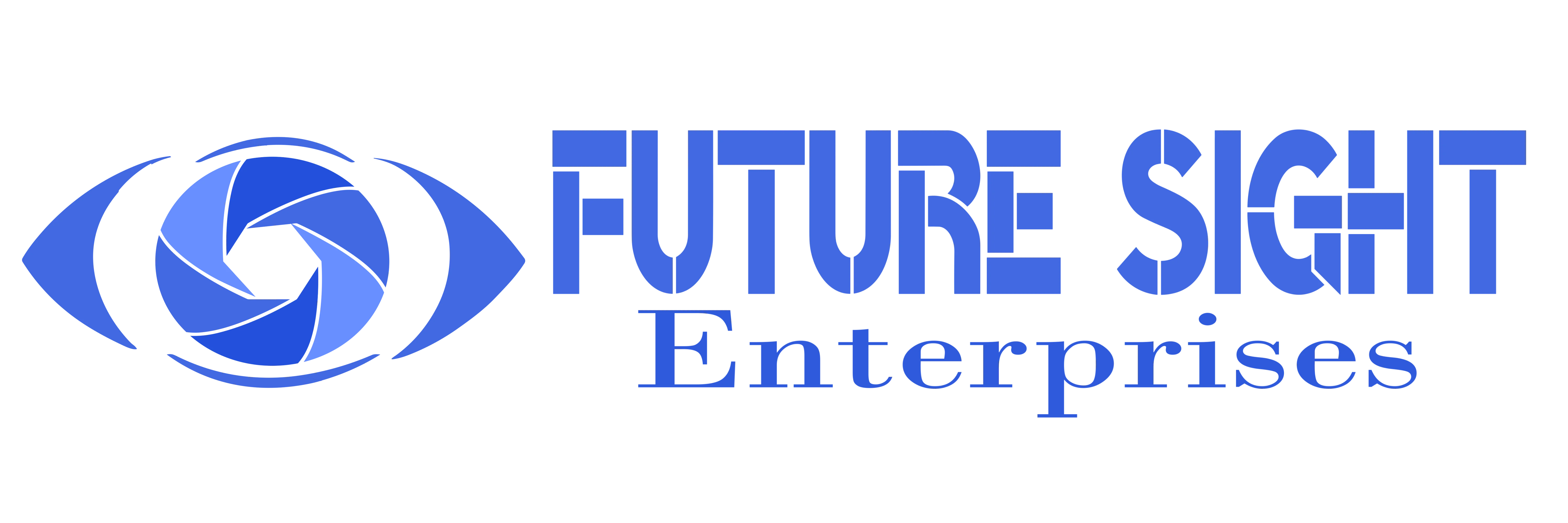 Future Sight Enterprises Flat Logo